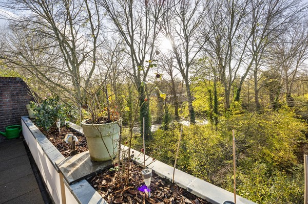 FOTO - Groenhof 177--15.jpg